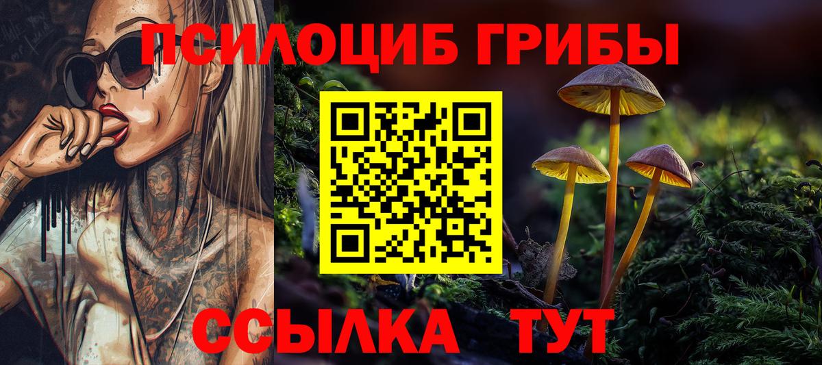 Галлюциногенные грибы ЛСД  Вход с VPN  Луга 